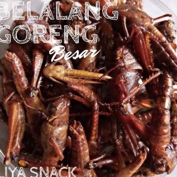 

FRESH!! Belalang Goreng Besar Toples Kecil IS81