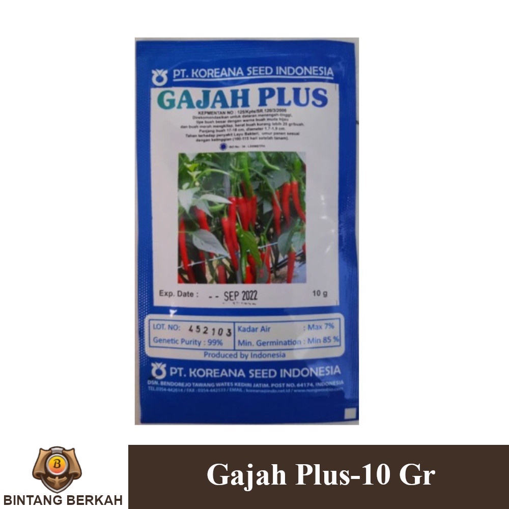 Benih Cabe Besar Hibrida Gajah Plus 10 Gram