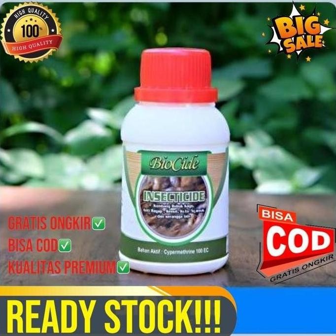 Obat Kayu Anti Rayap Kumbang Bubuk Dan Serangga Biocide Insecticide