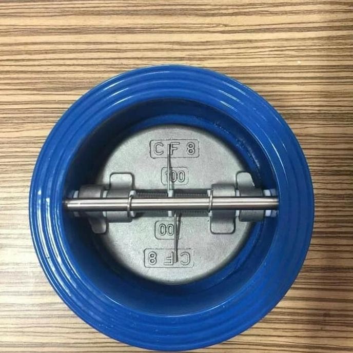 

6 Inch Wafer Check Valve Iron Cast Pn16 Terlaris