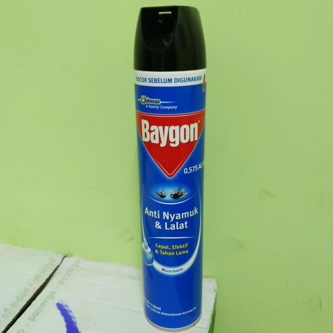 Baygon Aerosol Waterbase 750ml