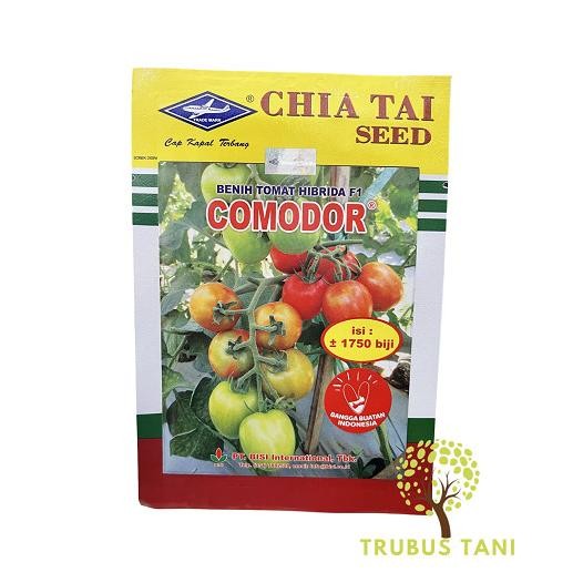 BENIH TOMAT HIBRIDA F1 COMODOR - Kemasan 5 gr