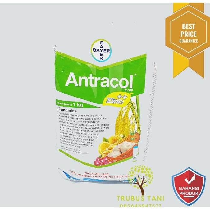 Fungisida Antracol 1kg