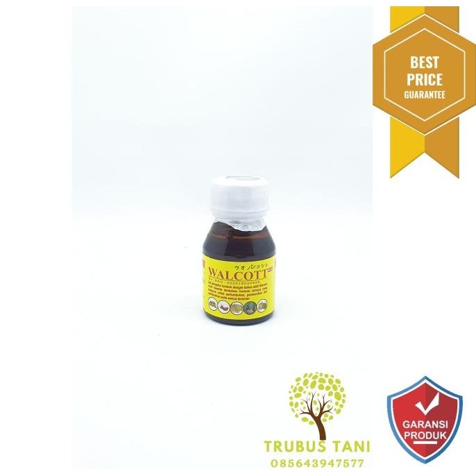 ZPT Perakaran Pembenihan WALCOTT