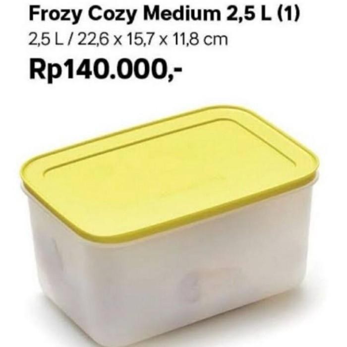 Tupperware Medium Freezermate Wadah / Kotak Ikan Daging Freezer