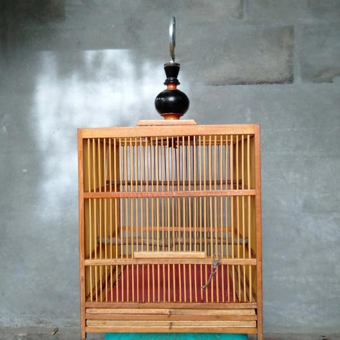 sangkar burung penjinakan wambie.