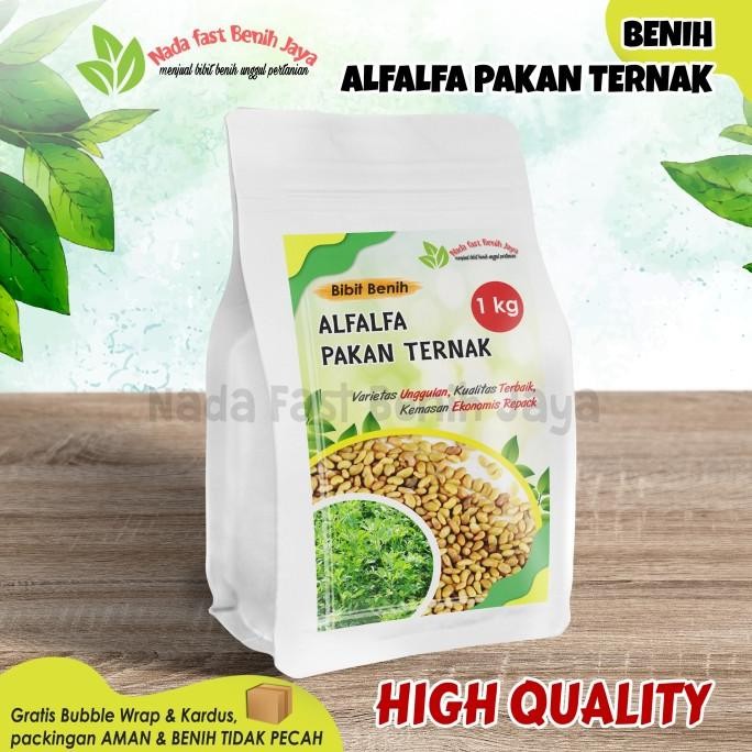 Benih Alfalfa 1 kg / Bibit alfalfa benih pakan ternak