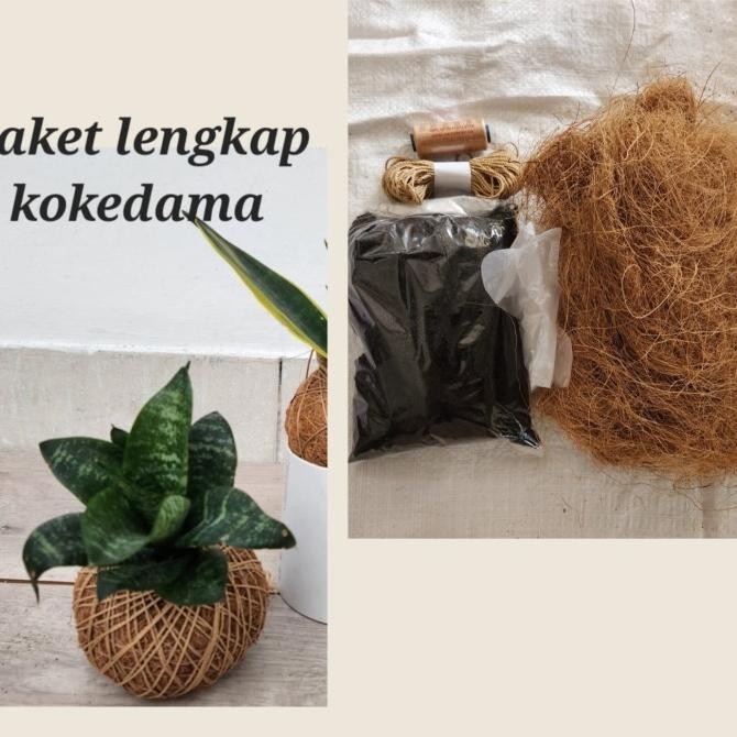 

DISKON PAKET KOKEDAMA LENGKAP KODE 728