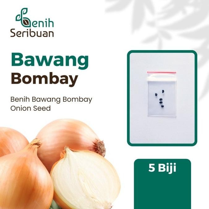 

5 BIBIT BAWANG BOMBAY BENIH SAYURAN BAWANG UTAH YELLOW SWEET IMPORT