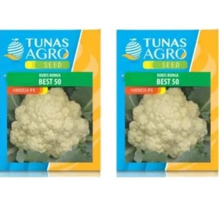 

Best 50 Kol Benih Kembang Kol Putih Best 50 10 Gr Tunas Agro Produk