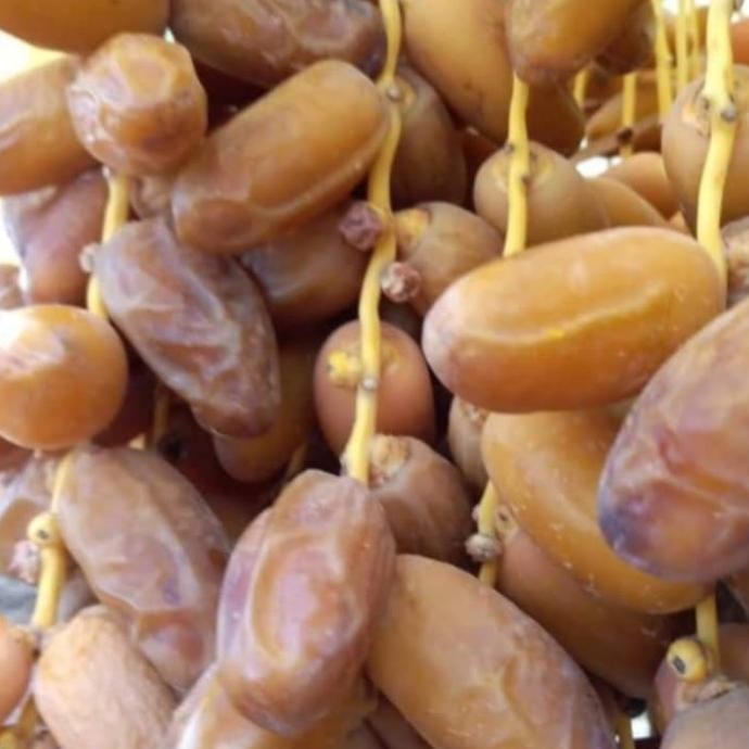 

Baru Kurma Tunisia Tangkai 1 Kg Legit Dan Kenyal Exp 2021