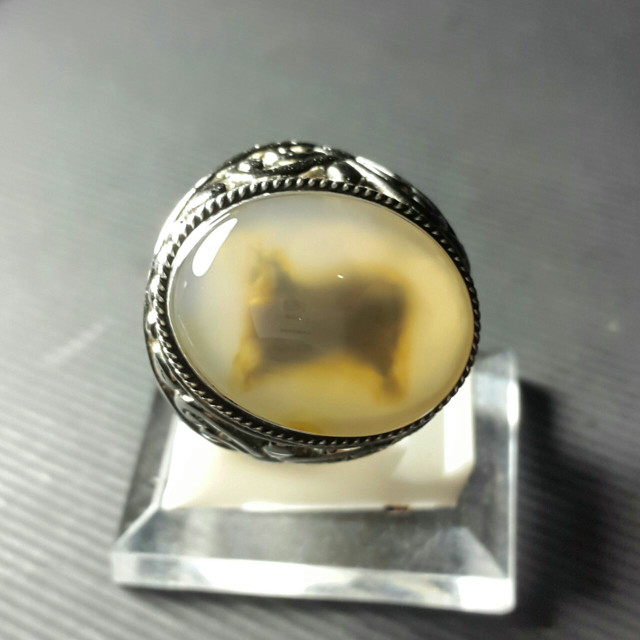 Kalsedon Motif SAPI di dalam Batu...
Body Glass...Gambar sangat jelas...