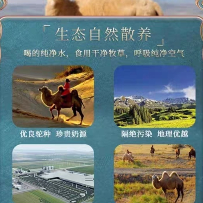 

Susu Bubuk Unta Xinjiang Asli