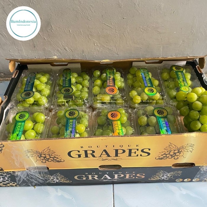 

ANGGUR SHINE MUSCAT GRAPES FRESH IMPORT per dus 5kg 10 box / 500 gram