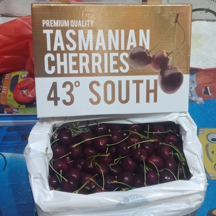 

BUAH CHERRY TASMANIA/CHERRIES TASMANIAN 43" SHOUTH 1 BOX