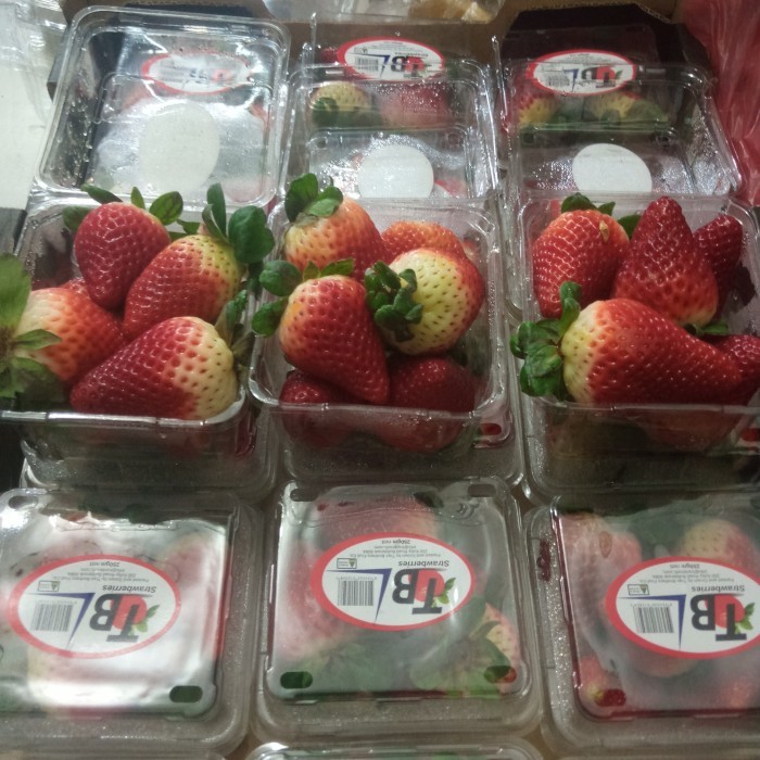 

PAKET BUNDLING BUAH STROBERRY AUSTRALIA IMPORT FRESH PER 3 PACK