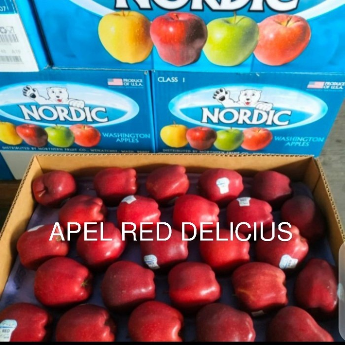 

BUAH APEL MERAH SEGAR / RED DEL USA FRESH MANIS PER 1 DUS BERAT 19 KG