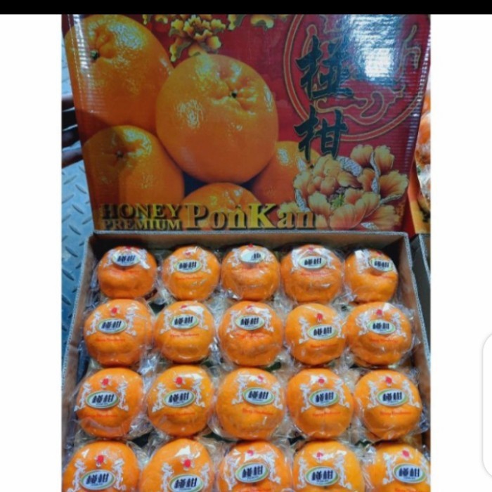 

SPESIAL GIFT JERUK PONKAM JUFU FRESH MANIS PER1 DUS ISI 40 BUAH