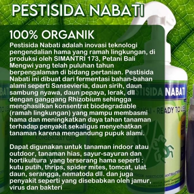 Pestisida Organik Cair | Pestisida Nabati Untuk Tanaman Cabe Jeruk [terbaik]