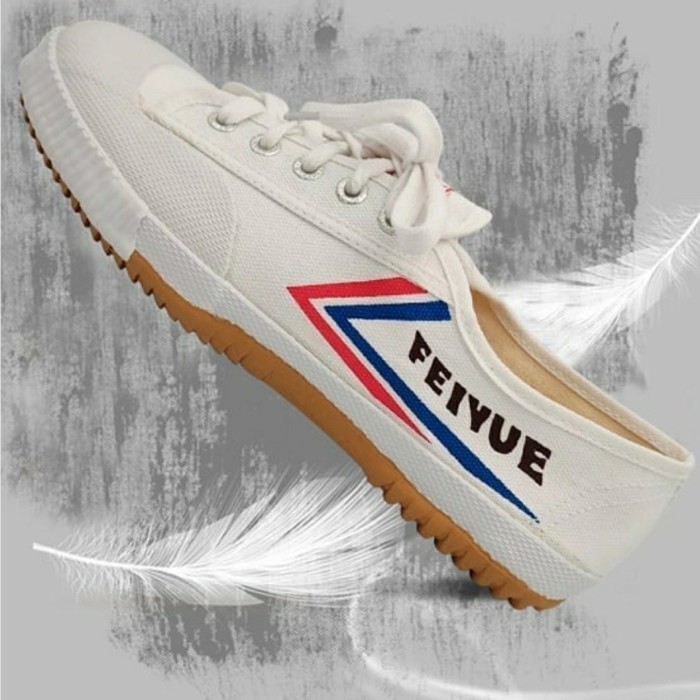 TERBARU Sepatu Feiyue Wushu