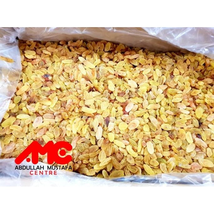 

KISMIS GOLDEN RAISIN [terbaik]