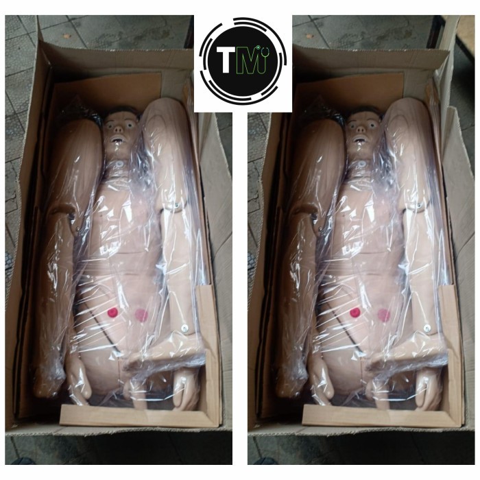 PHANTOM MANIKIN /MANEKIN KEPERAWATAN full body MULTIFUNGSI