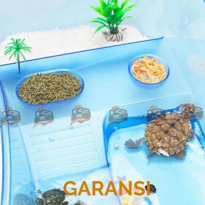 TERLARIS Tempat Kura kura Vivarium box Turtle Brazil kandang Nomoypet