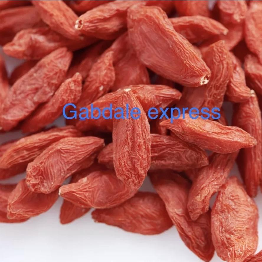 

kici goji berry besar pergr