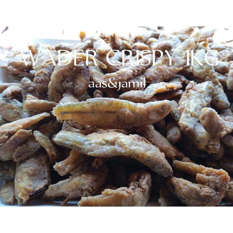

WADER CRISPY 1KG/ ikan paray / ikan Bilih / wader 1kg dinal