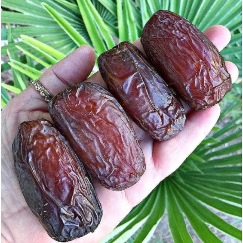 

kurma medjool 1kg Palestina / kurma medjol 1 kg Palestina / kurma menjol medium murah