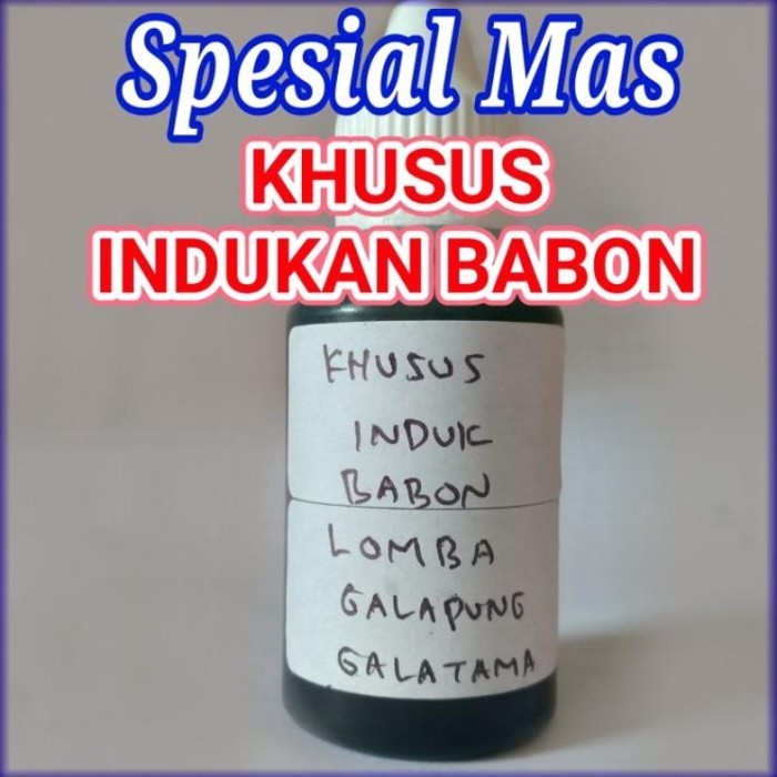 Essen Ikan Mas Indukan Babon Galapung Galatama Lomba