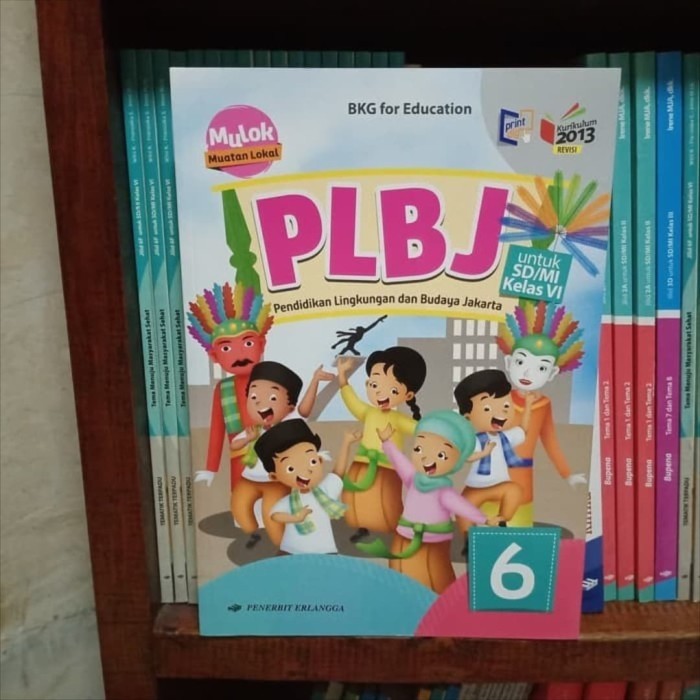 

BISA GROSIR PROMO Buku SD PLBJ Kelas 6 Revisi Erlangga