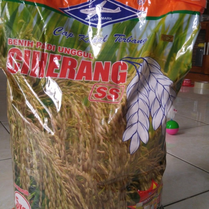 Benih Padi Ciherang Ss Kemasan 5 Kg Label Ungu Bersertifikat Murah