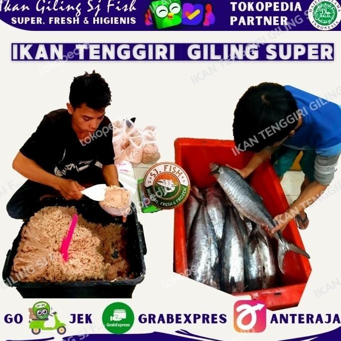 

Daging Tenggiri Giling Super Original Dan Terpercaya