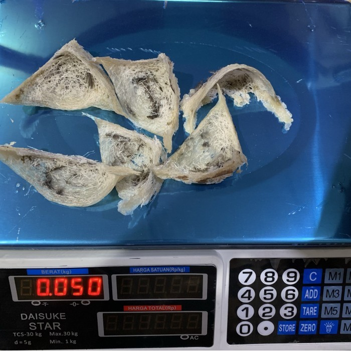 

Sarang burung walet 50 gram yenwo