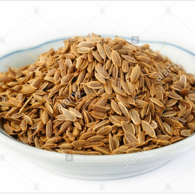 

DILL SEEDS - 500 GRAM