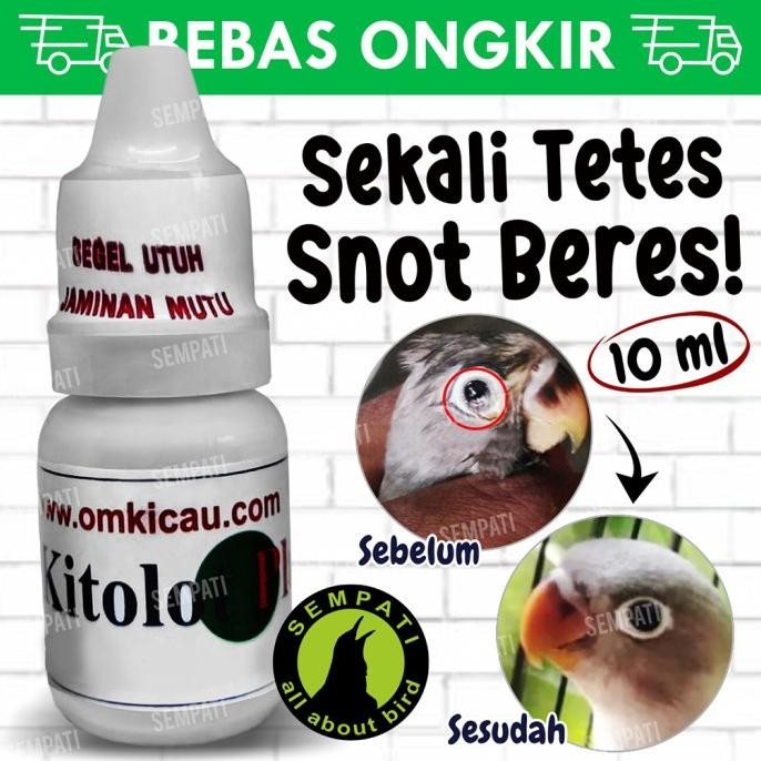 Bird Kitolot Tetes Om Kicau Obat Burung Sakit Mata Katarak Berlendir
