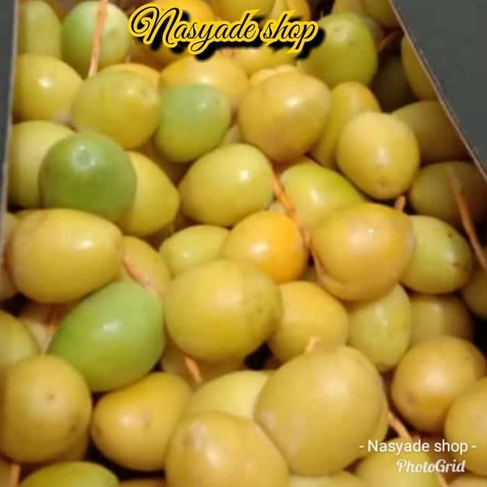 

kurma muda segaar/fresh per 5kg