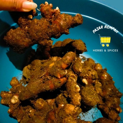 

OBRAL jahe merah super 1kg
