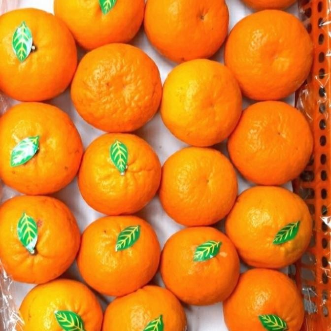 

SALE! BUAH JERUK WOGAM KUPAS/ WOKAM MANIS 1 DUS