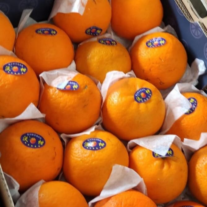 

SALE! BUAH JERUK WOKAM/WOGAM FRESH IMPORT