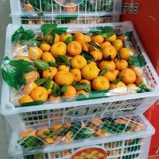 

SALE! JERUK SANTANG 1 KERANJANG