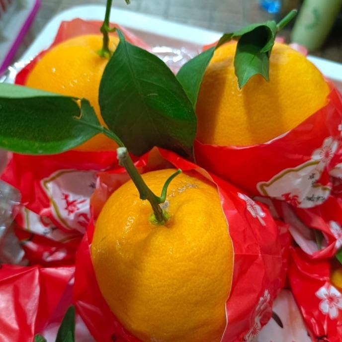 

SALE! JERUK DECOPON PAPAGAN SUMO 1KERANJANG 6,6KG MANIS NON BIJI PREMIUM SPESIAL IMLEK