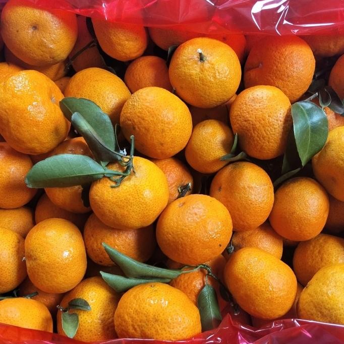 

SALE! JERUK SHANTANG SANTANG MADU ASLI / JERUK SHANTANG MANIS / IMPORT