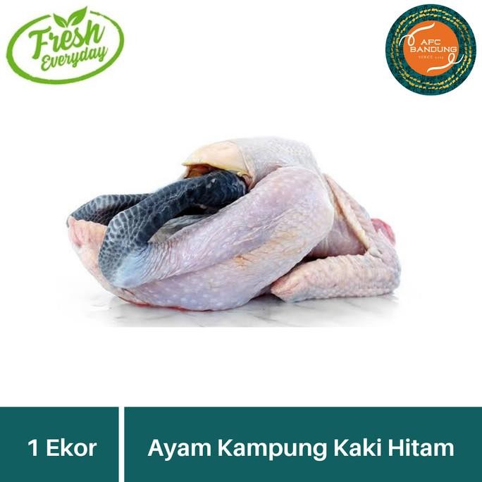 

Ayam Kampung Asli Kaki Hitam Utuh Fresh Size Besar