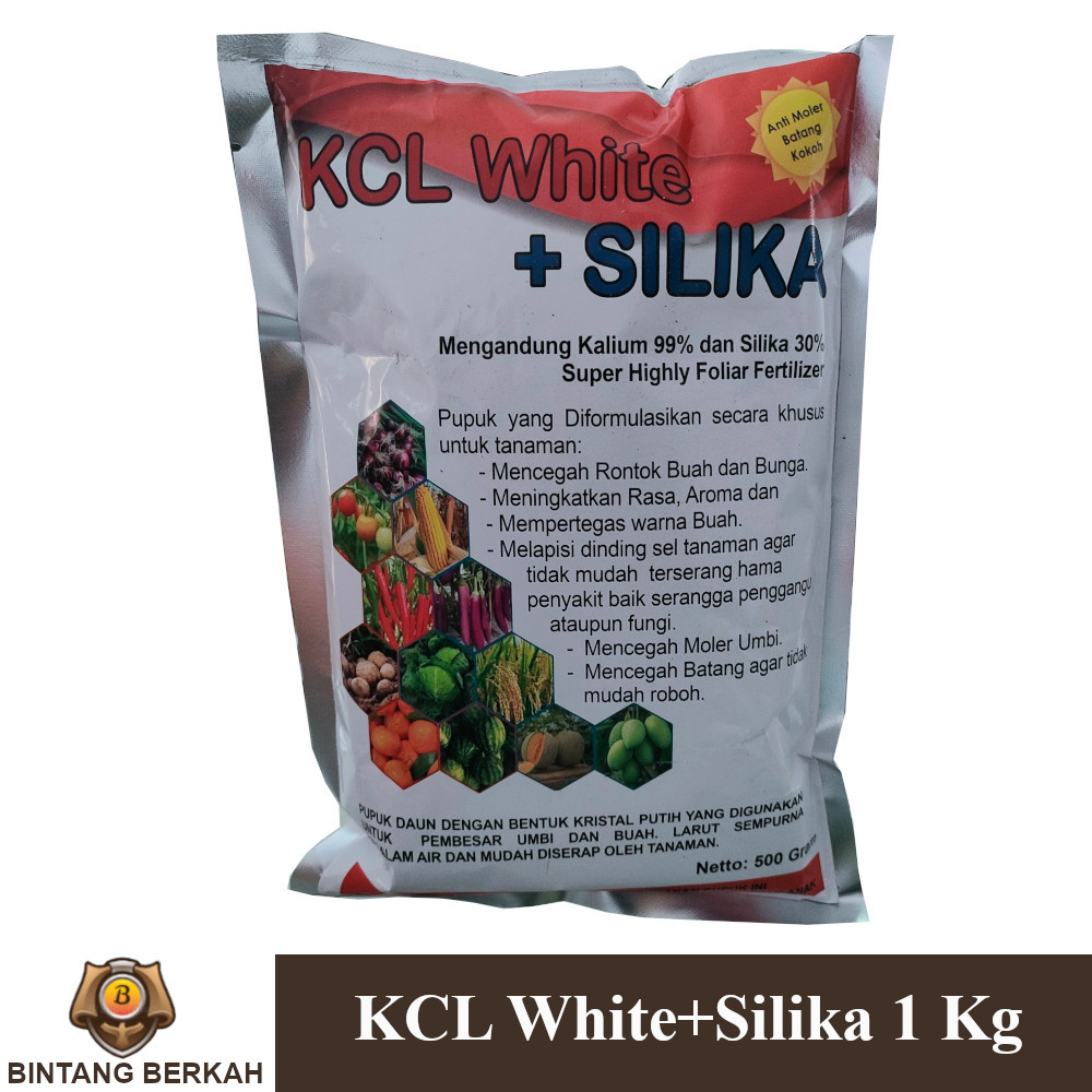 KCL White Plus Silika 1 Kg Pupuk Pembuahan Pembesar Umbi Anti Moler Umbi