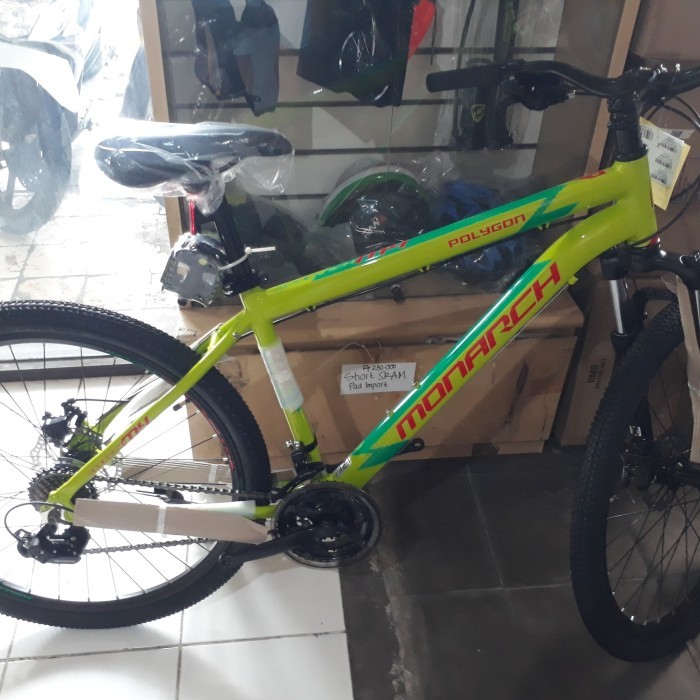 Mtb Polygon Monarch 4