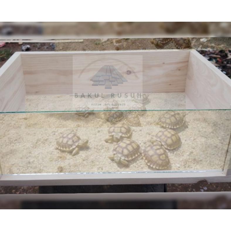 gd-90 KANDANG KURA KURA BOX KURA KURA DARAT SULCATA Hemat