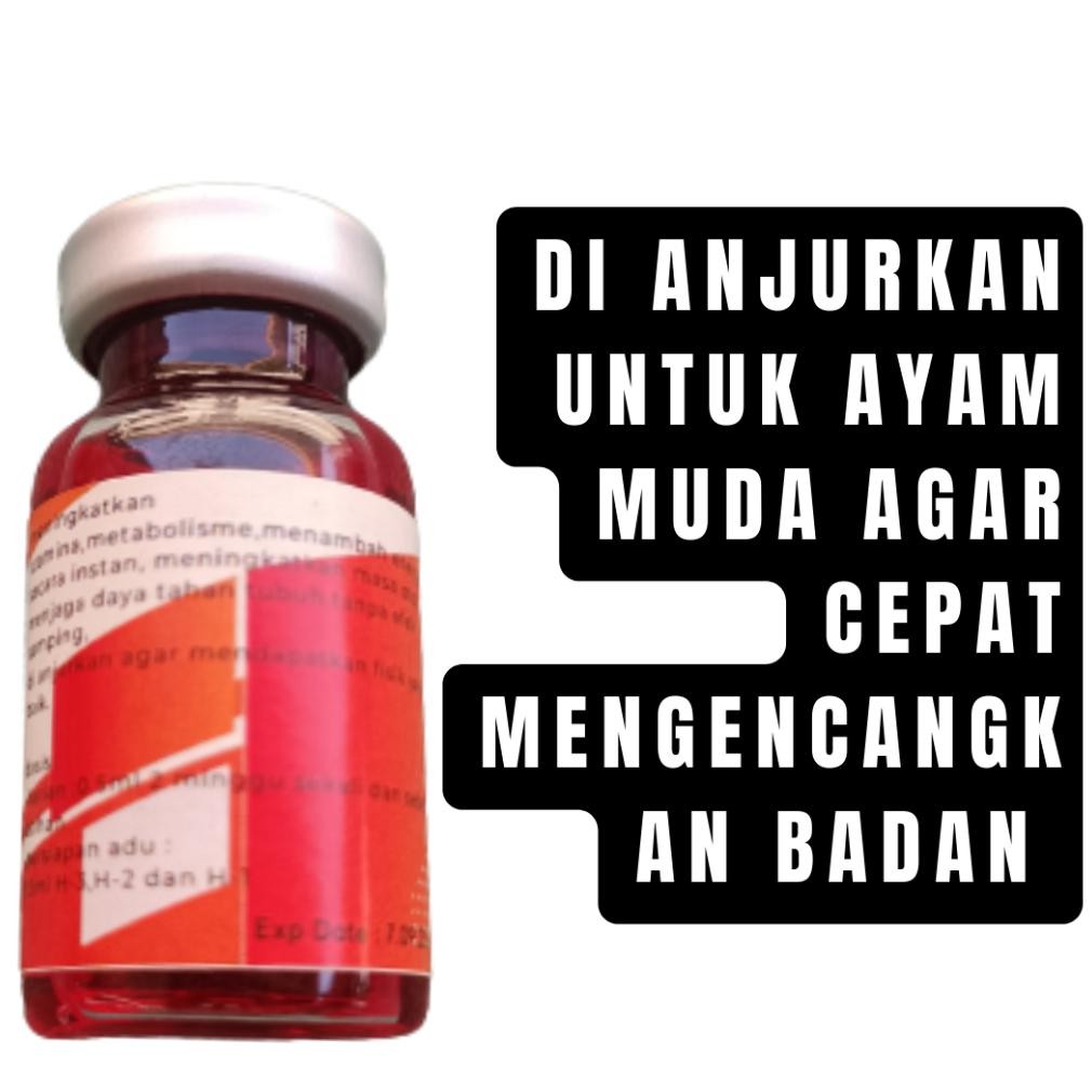 gd-12 doping ayam suntik penguat otot dan stamina 10 plus suntik gimca Murah