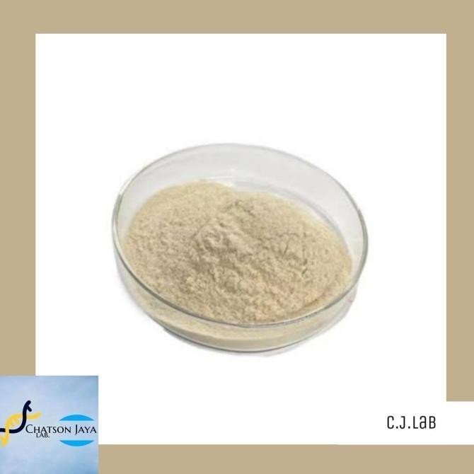 Enzim Diastase 20Gram/ Amylase Enzyme Powder/ Diastase